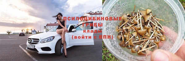 мдпв Вяземский